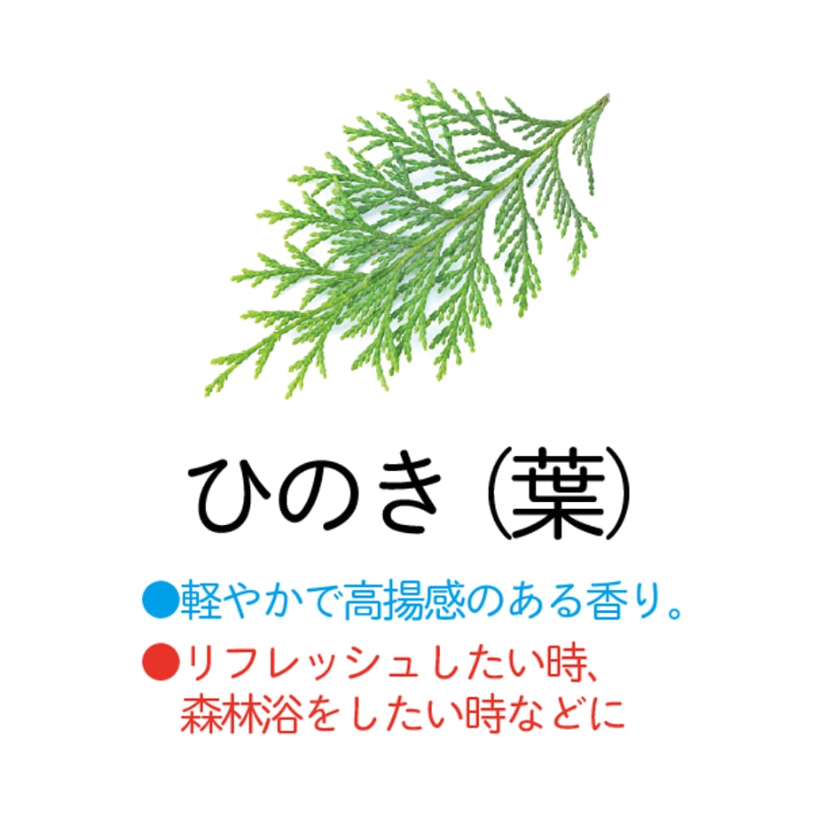 5f17ce4cd3f167167e23b68c
