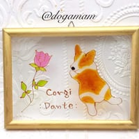 コーギー＆　FLOWER　ラウンドローズ　一輪のバラ  　ウエルッシュコーギー　振り向き