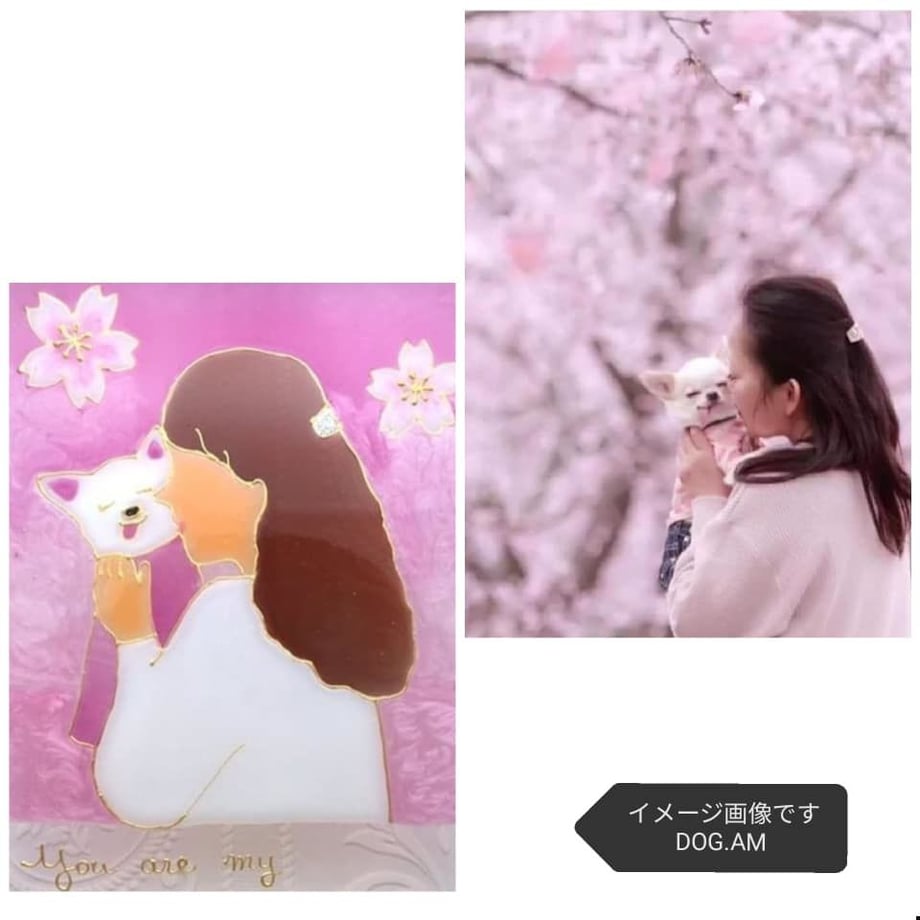 5f33fbfa223ead36a9469661