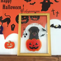 ハロウィン　カボチャ　黒ラブ　ラブラドール　レトリバー