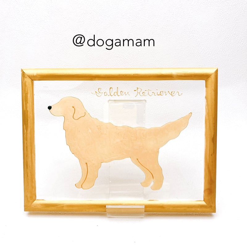 ゴールデンレトリーバー ゴールデンレトリバー | DOG.AM