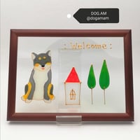 柴犬＆HOME　黒柴