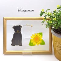 パグ＆　FLOWER　  ひまわり　向日葵  　パグ　ブラック