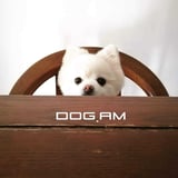 DOG.AM