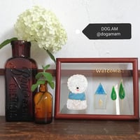 ビション＆HOME　ビションフリーゼ