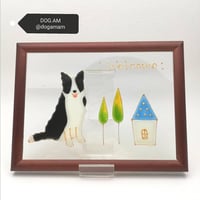 ボーダーコリー＆HOME　ブラックホワイト　立ち耳