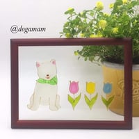 柴犬＆　FLOWER　白柴　チューリップ