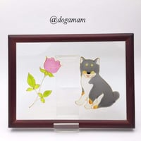 柴犬＆　FLOWER　黒柴　一輪のバラ