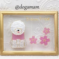 ビション＆　FLOWER　桜　さくら　サクラ  ビションフリーゼ