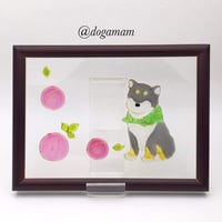 柴犬＆　FLOWER　黒柴　ラウンドローズ　バラ