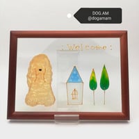 アメコカ＆HOME　アメリカンコッカースパニエル　バフ　正面