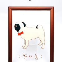 パグ　立ち姿