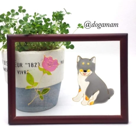 柴犬＆　FLOWER　黒柴　一輪のバラ