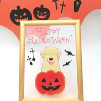 ハロウィン　カボチャ　イエローラブ　ラブラドール　レトリバー