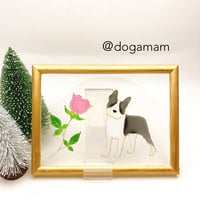 ボストンテリア　&  一輪バラ