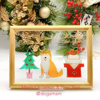 クリスマス　お正月　鏡餅　柴犬  赤柴