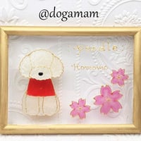プードル＆　FLOWER　桜　さくら　サクラ