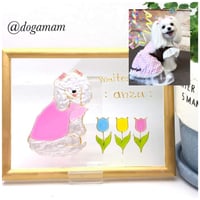 うちの子デザイン＆　FLOWER　チューリップ