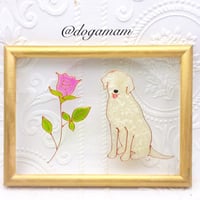 ラブラドール＆　FLOWER　一輪のバラ　ラブラドールレトリバー　イエローラブ