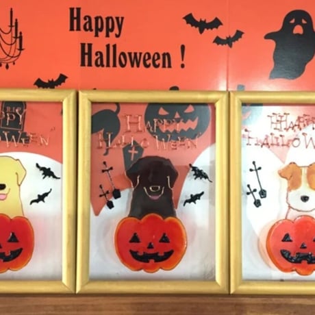 ハロウィン　カボチャ　黒ラブ　ラブラドール　レトリバー