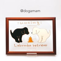 ゴールデンレトリバー | DOG.AM