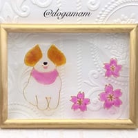 シーズー＆　FLOWER　桜　さくら　サクラ