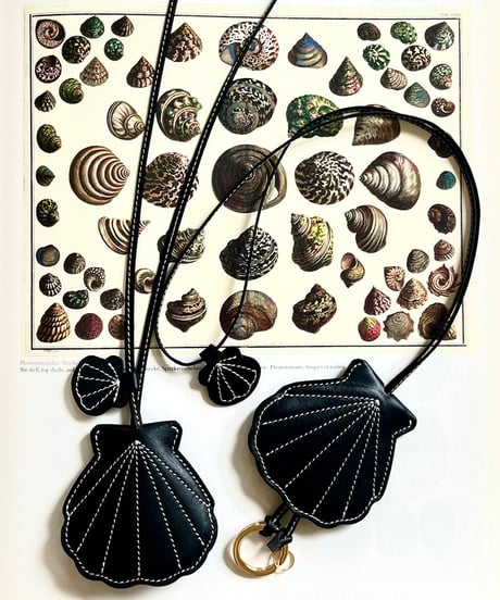 SEA SHELL KEY NECK HOLDER