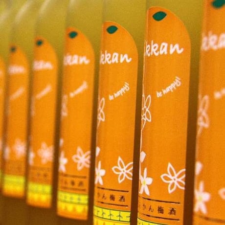 若松みかん梅酒Mikkan（9度/500ml）オリジナル商品