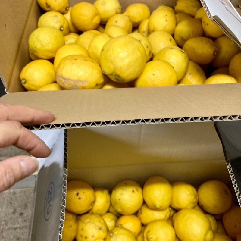 北九州レモンサワーの素（22度/1800ml） | 港の酒屋 みつばや｜北九州