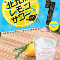 北九州レモンサワーの素ドライ（22度/500ml）