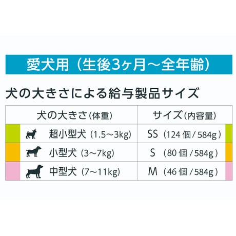 【tenii限定価格】デンティ・スリーフェアリーBOX〈SS/S/M〉