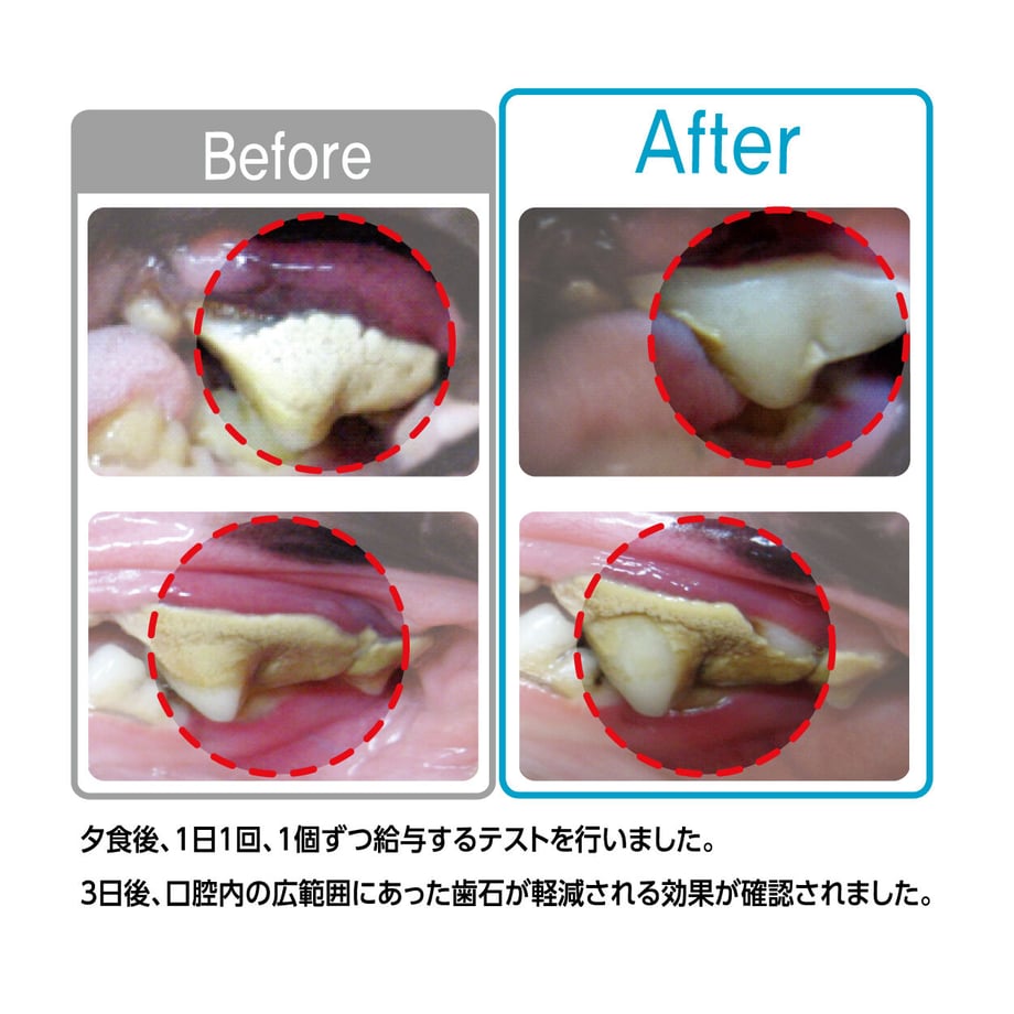 640554f43313d25f8b685a6d