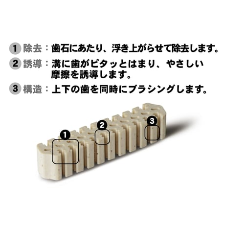 デンティ・スリーフェアリー シニア　グレインフリー〈SS/S/M〉