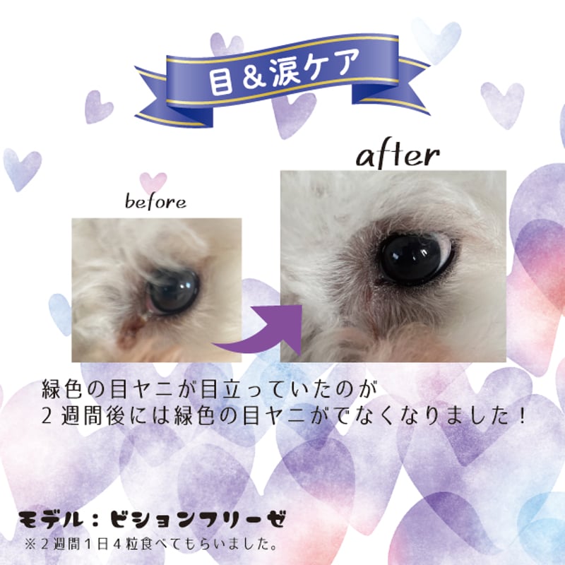 ニュートリショントリーツ ミニ〈 目＆涙(EYE CARE) 〉 | tenii