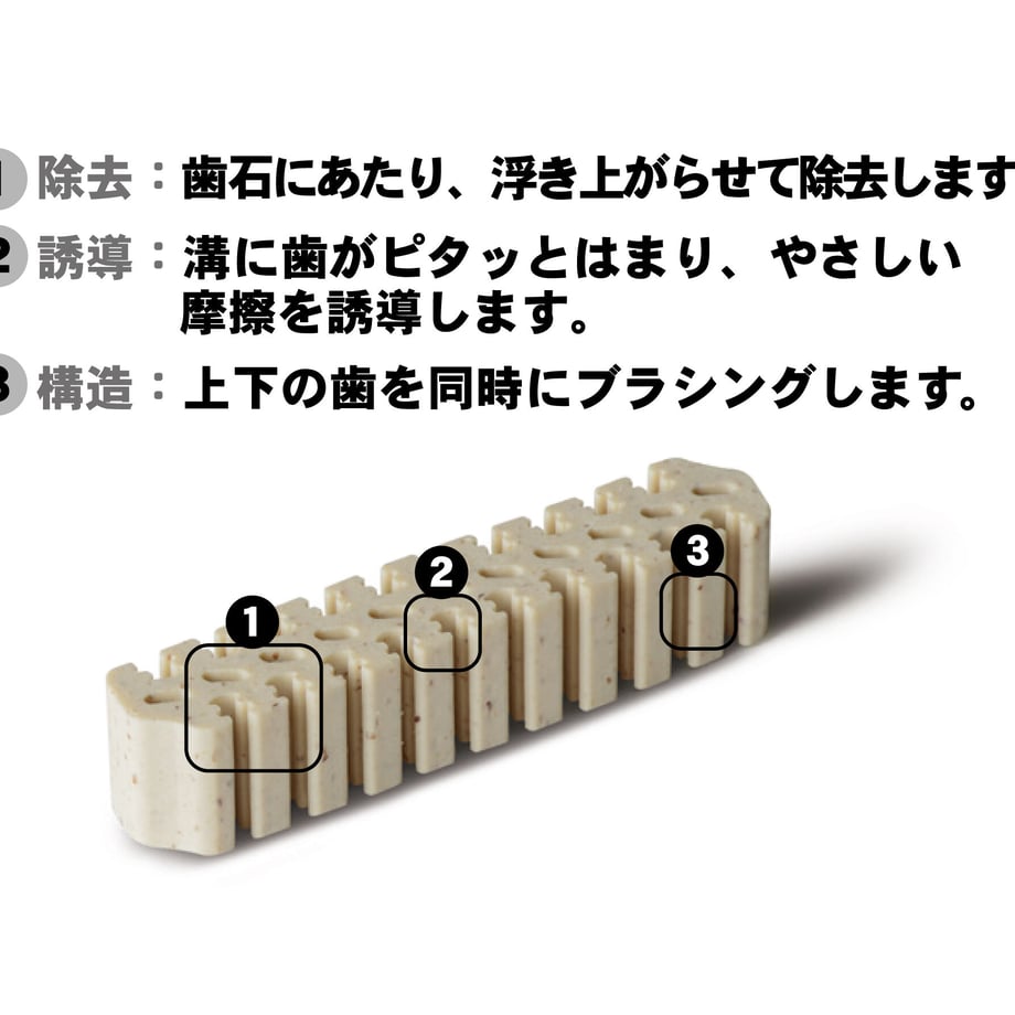 64f1309453ee8d002e5a8386