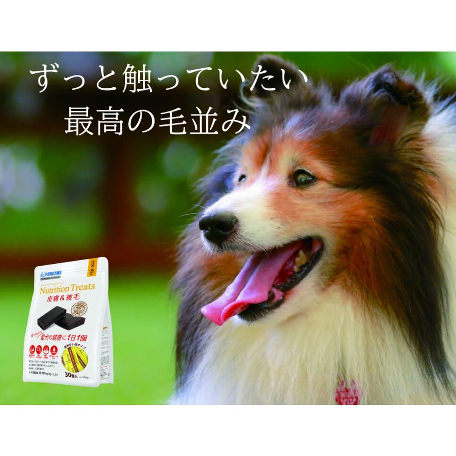 6025fc7631862578dd71674e