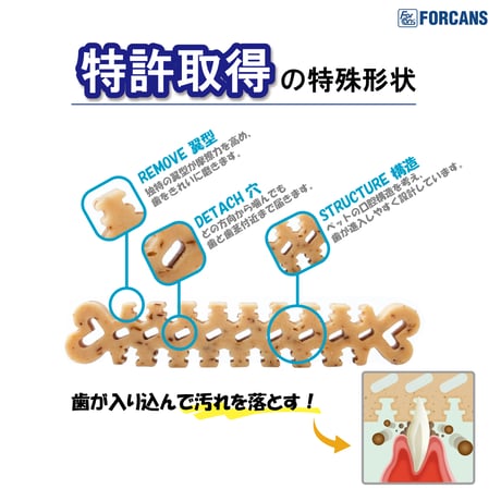 【３個セット】デンティ・スリーフェアリーBOX〈SS/S/M〉超お得３個セット