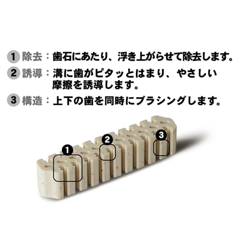 【訳ありアウトレット品】デンティ・スリーフェアリー シニア　グレインフリー〈SS/S/M〉