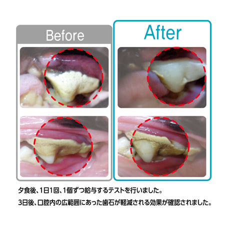 【訳ありアウトレット品】デンティ・スリーフェアリー徳用150g〈SS/S〉