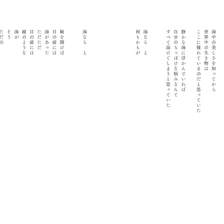 詩写真集『青を読む』鍵井靖章、鍵井瑠詩