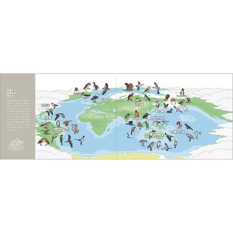 【数量限定ステッカー付き】写真集『ひかりをはこぶ　Birds carrying the sky』菅原貴徳／サイン入り