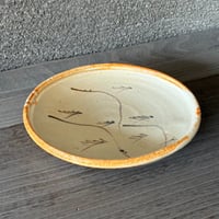 荘山窯　志野８寸皿