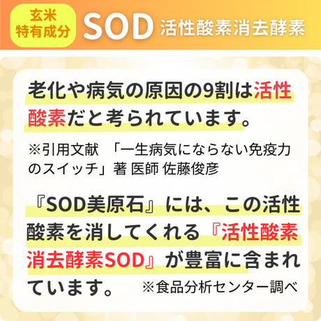 【単品】濃縮酵素  SOD美原石 90包