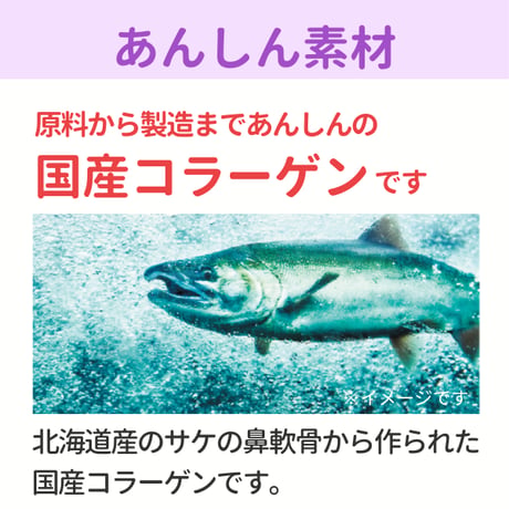 フィットラボコラーゲン60粒