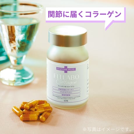 CATEGORY その他 健康食品 | ビフローラエンザイム 公式