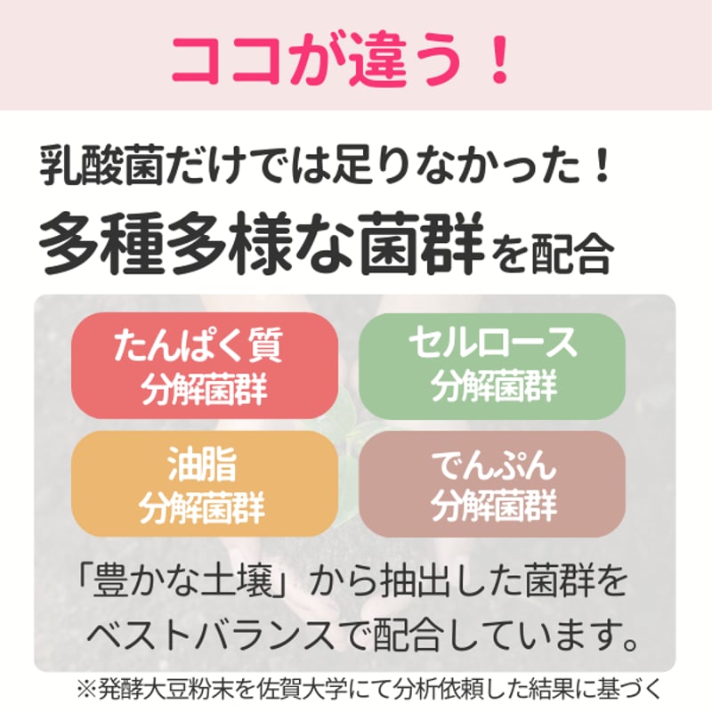 カプセル60粒入り | ビフローラエンザイム 公式 カプセル60粒入り | ビフローラエンザイム 公式