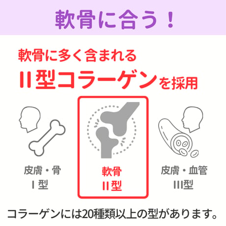 フィットラボコラーゲン60粒