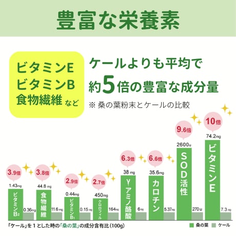 マルベリーエンザイム 60包