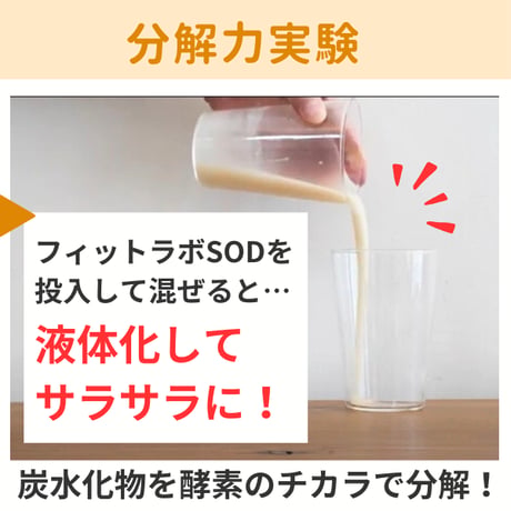 フィットラボSOD 90包