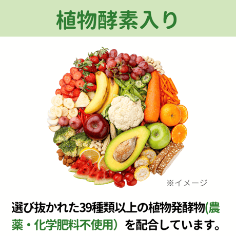 マルベリーエンザイム 60包